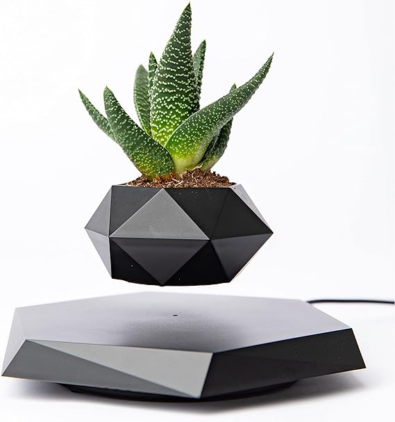 Levitating Plant Pot