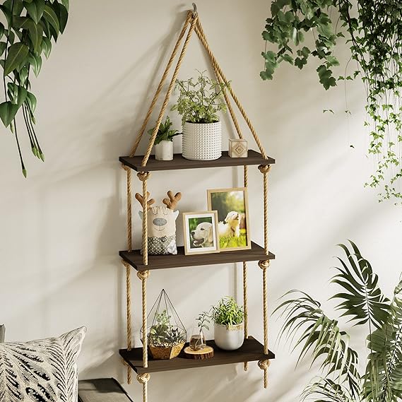 Stylish Hanging Plant Shelf